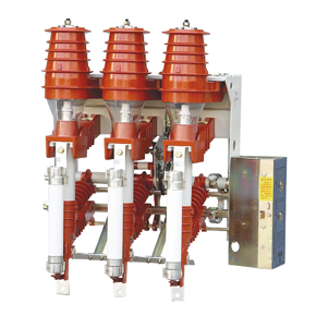 FZN25-12D系列戶內(nèi)高壓真空負(fù)荷開(kāi)關(guān)